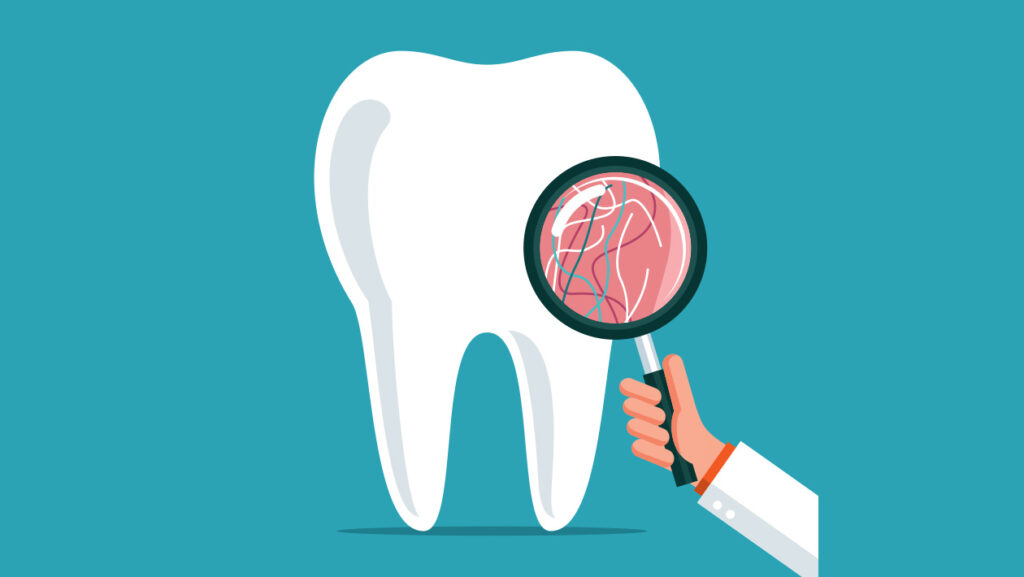 The truth about Dental insurance: what patients need to know