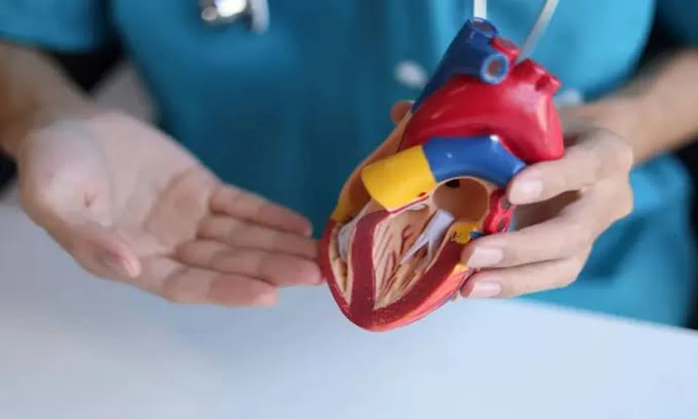 How to Prepare for a TAVR Procedure: Tests, Medicines and Pre-Procedure Planning